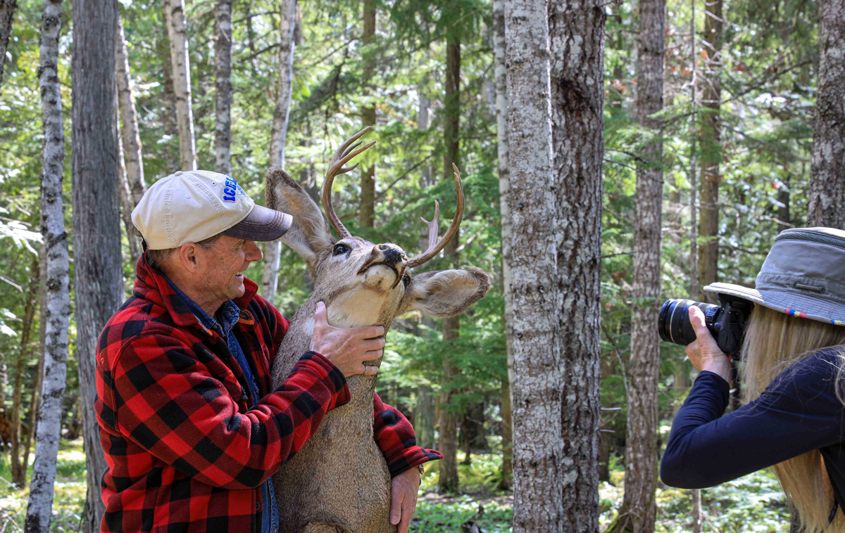 deer