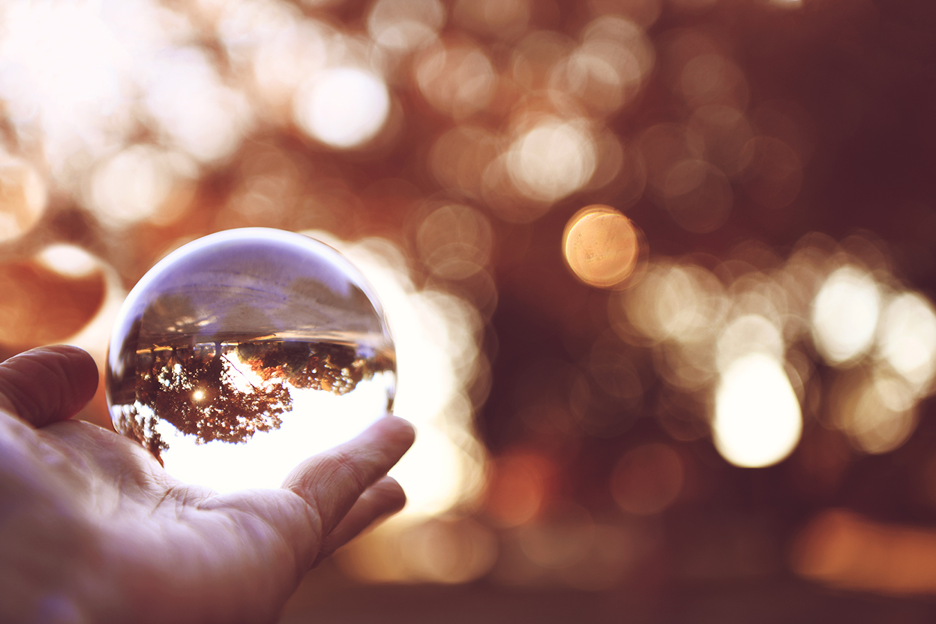 Fall scene through a Lensball