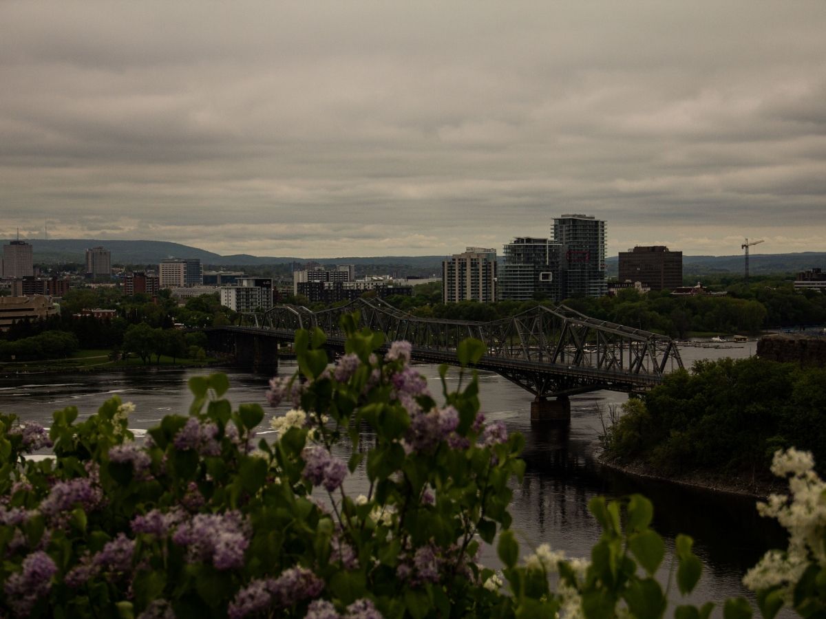 Alexandra Bridge from Ottawa to Gatineau, as seen from behind Parliament of Canada. Blurred Lilacs in foreground
