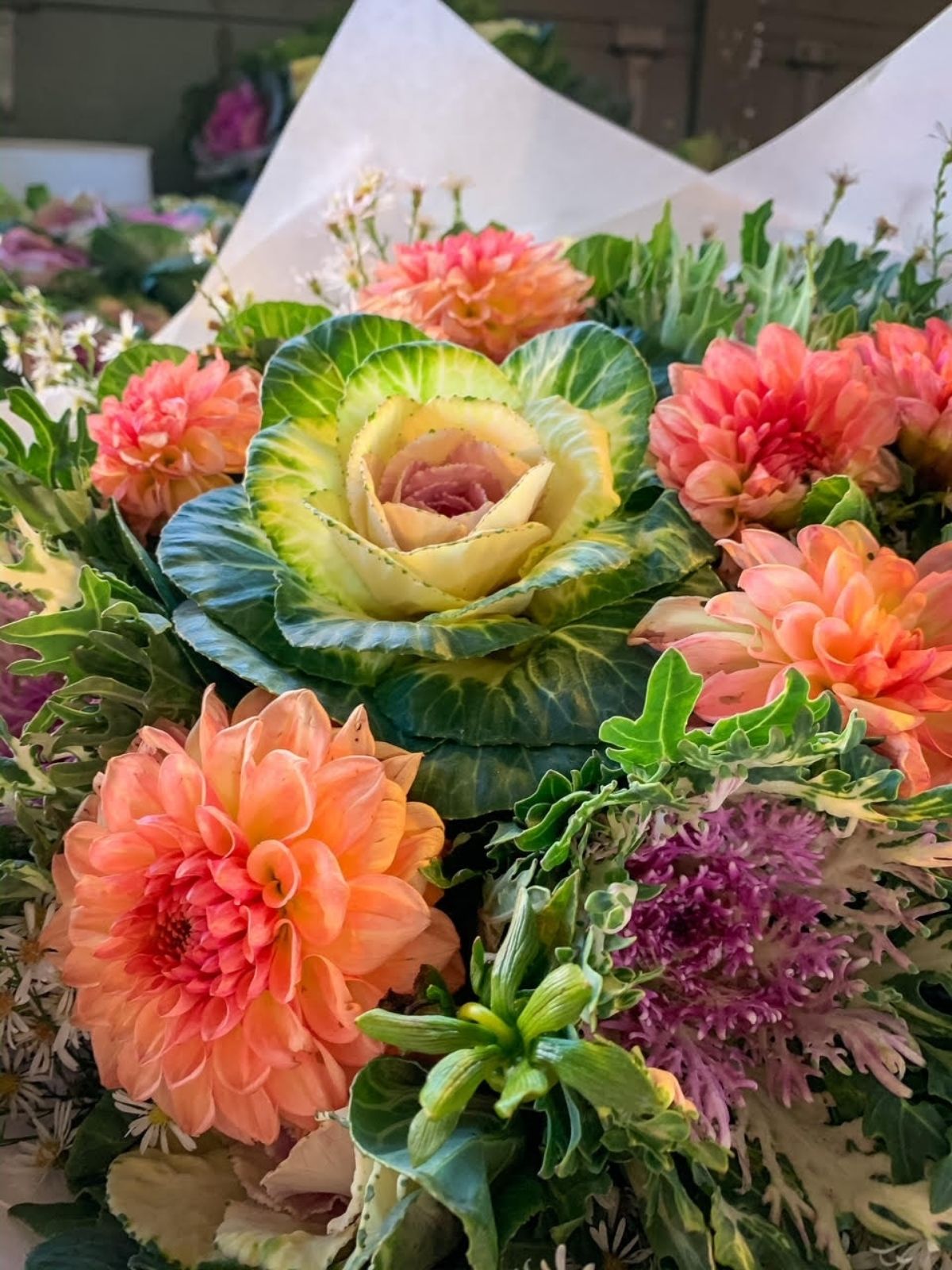 brightly coloured flowers