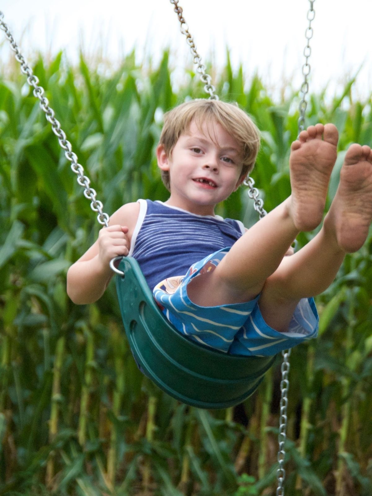 child swinging on a swing, cornfield in the background