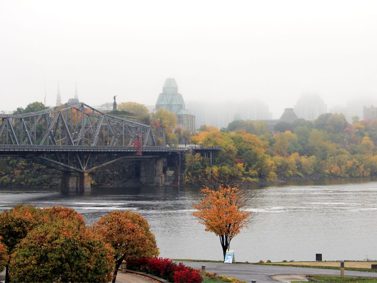 A foggy city landscape dotted with trees decorated with fall coloured leaves