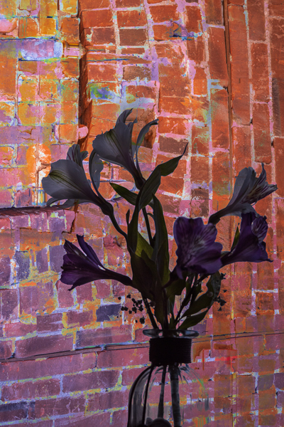 Blog-04-23-no.11.jpg Barbs brick wall and black flower