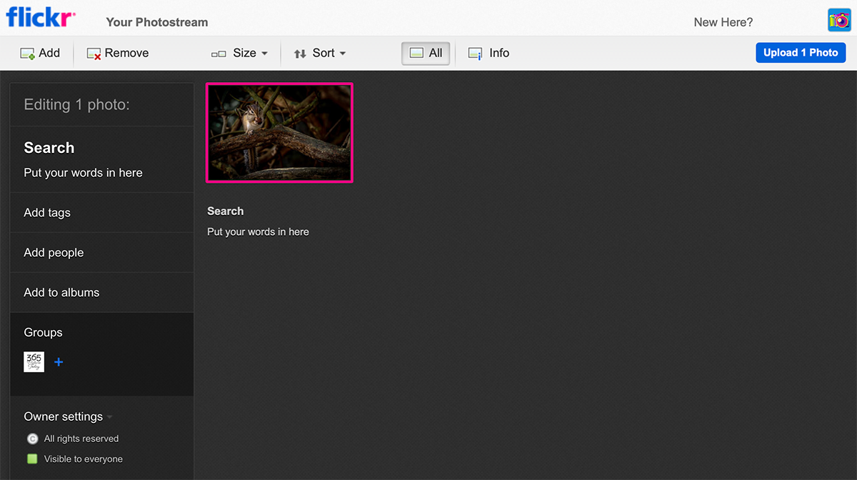 Blog - Flickr - Upload