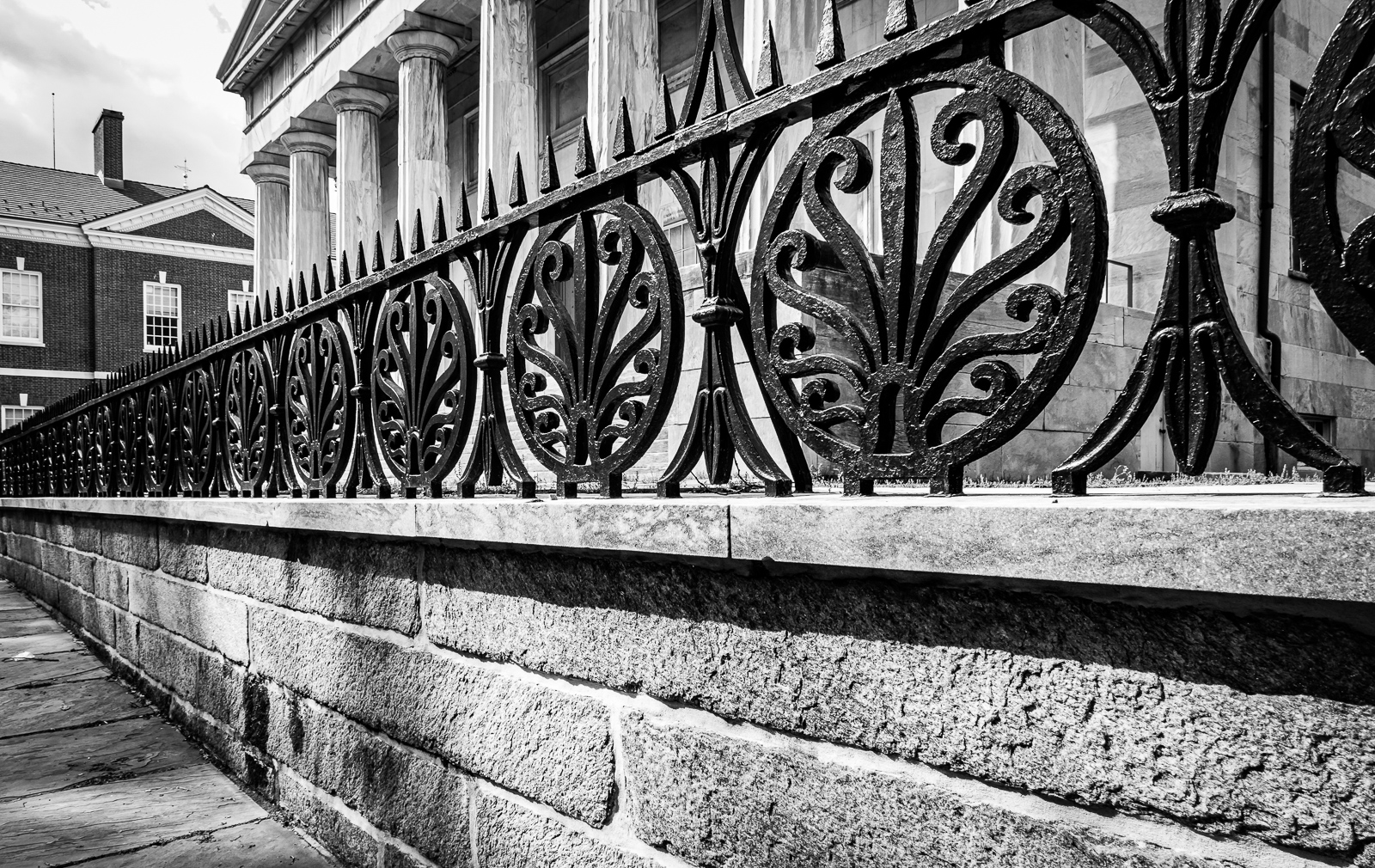Black and white fence-Coltro-03-22-11_0.jpg
