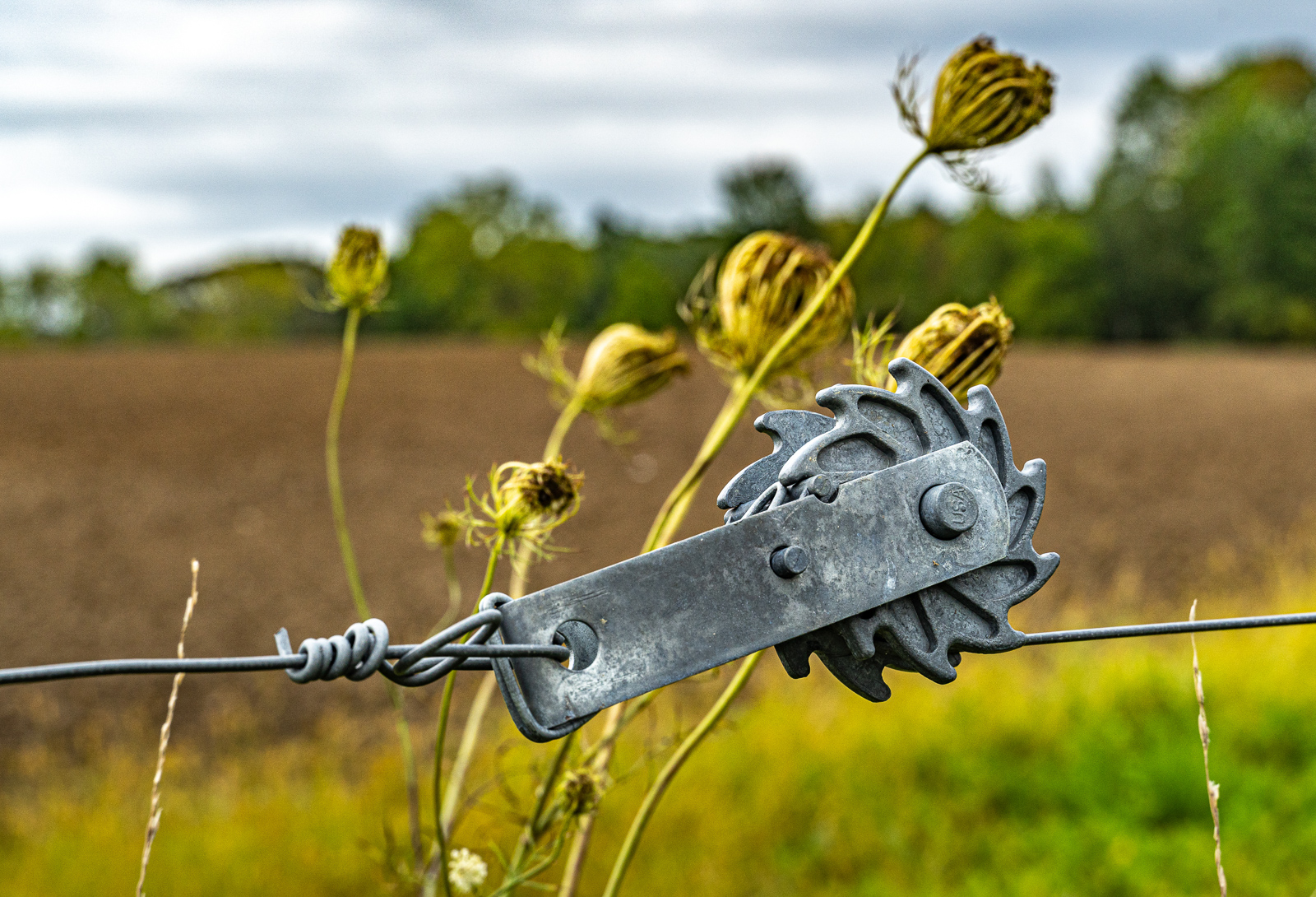 Fence in field-Coltro-03-22-4.jpg