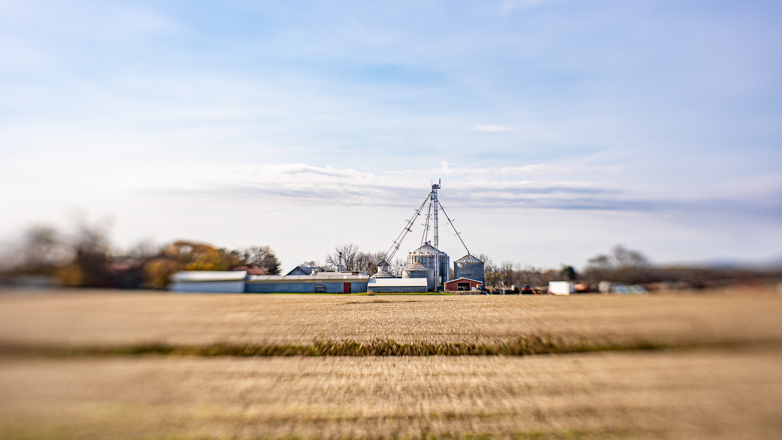 Golden field-Coltro-03-22-8.jpg