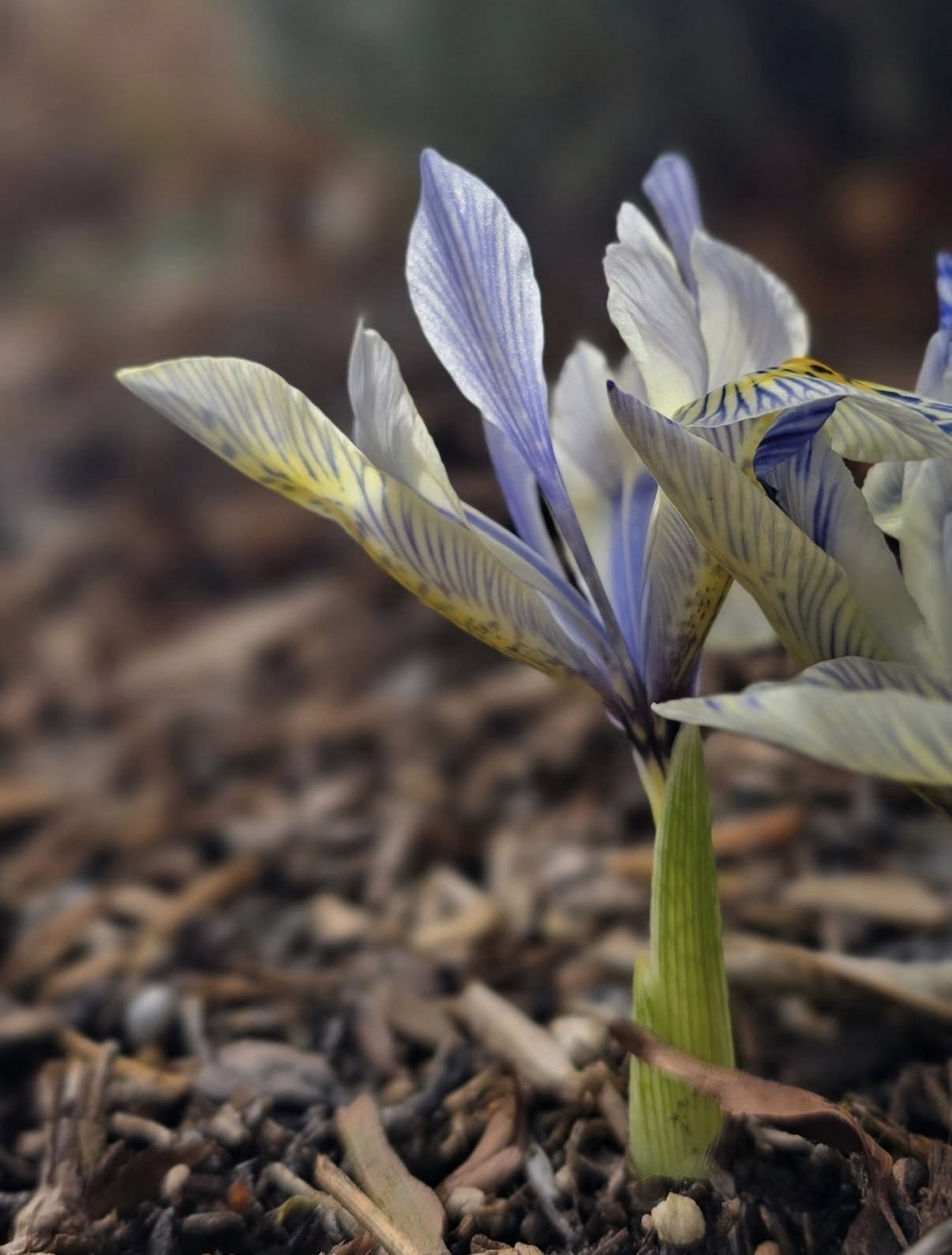 Heidi Marquardt - Instagram - Minimal