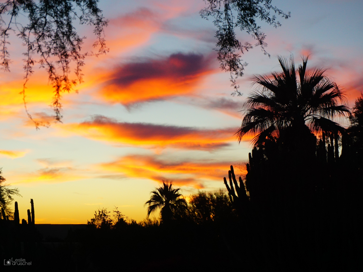 Desert sunset