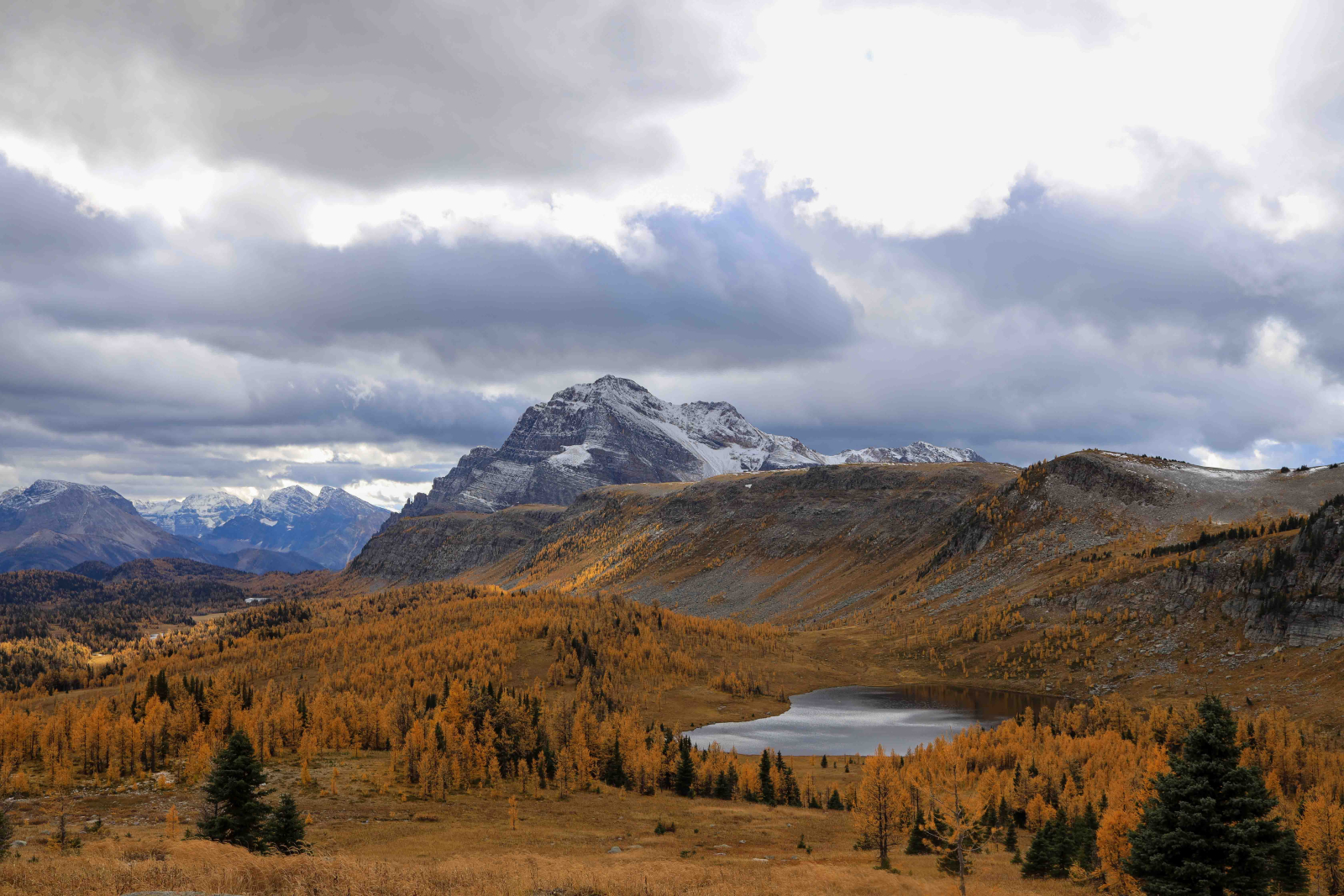Landscape