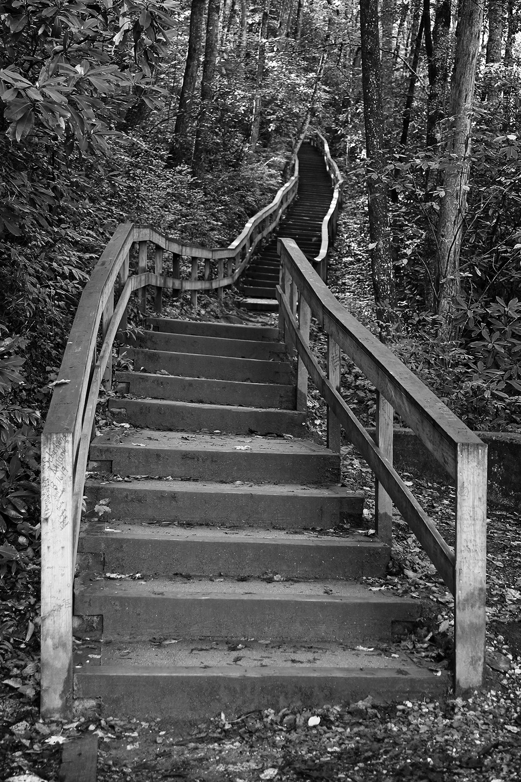 wooden stairs