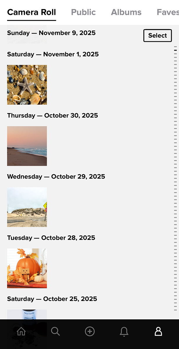 Flickr App Your Photostream 