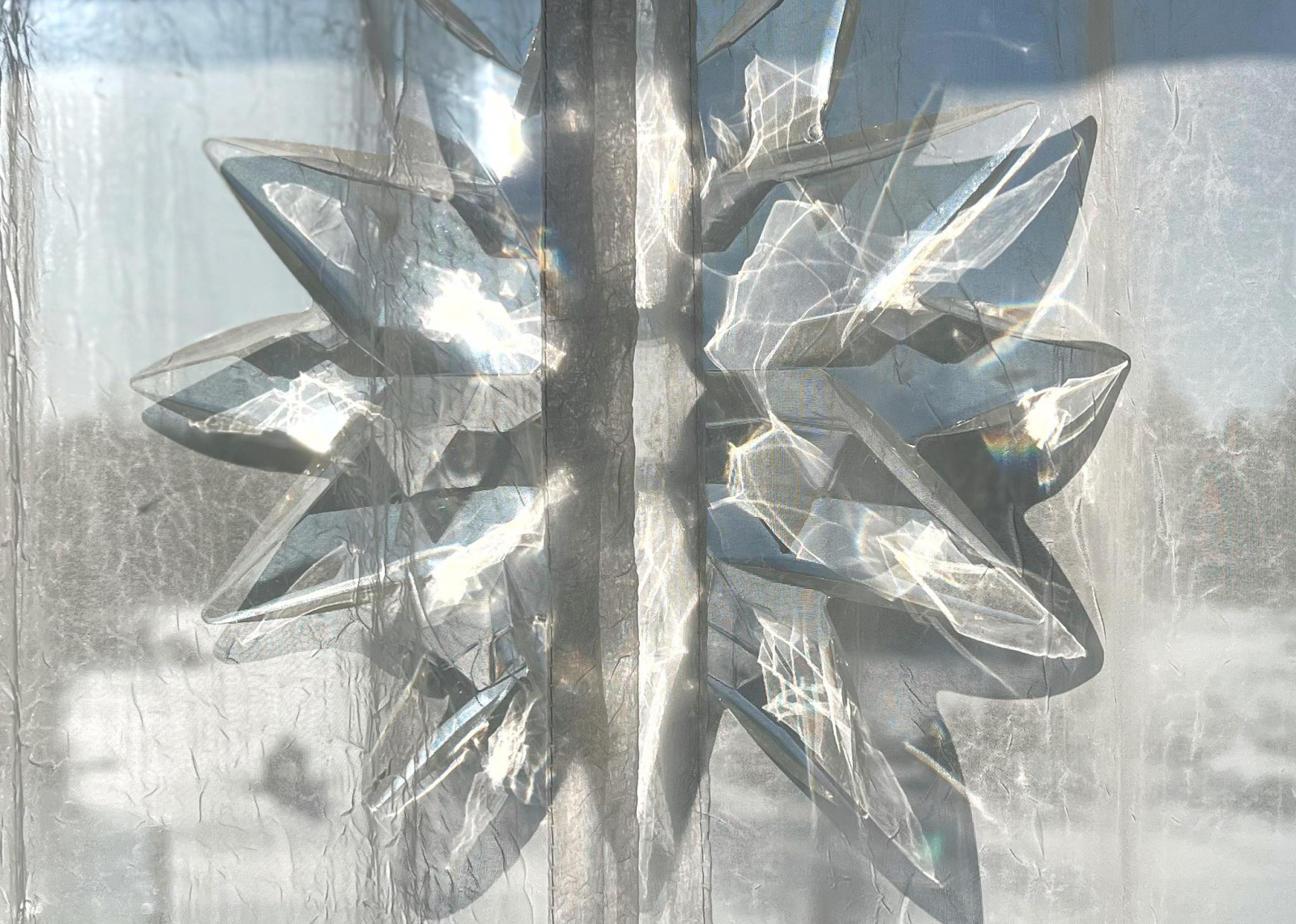 Julie Bush - Flickr - White