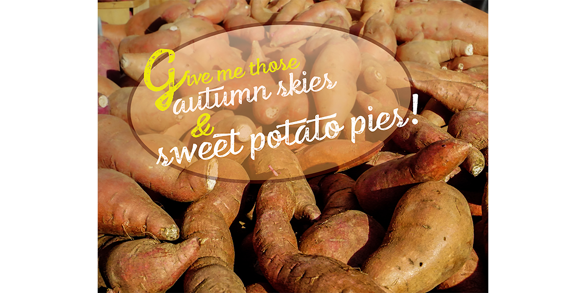 Sweet potato quote