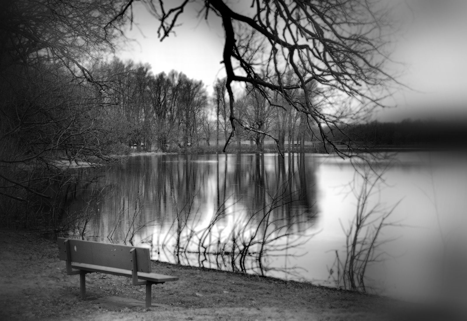 a bench sits empty near the edge of the water, reflections of trees in the distance