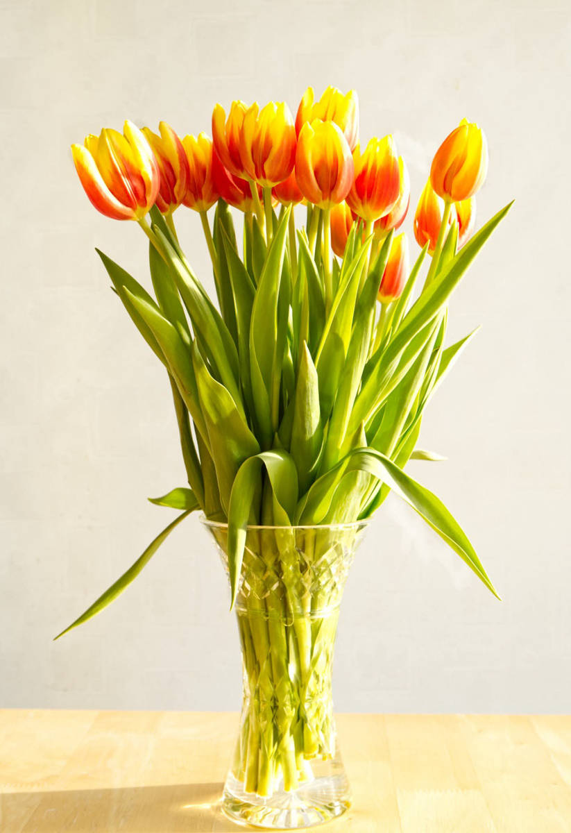 blog-photo-01-26-No.12.jpg-tulips