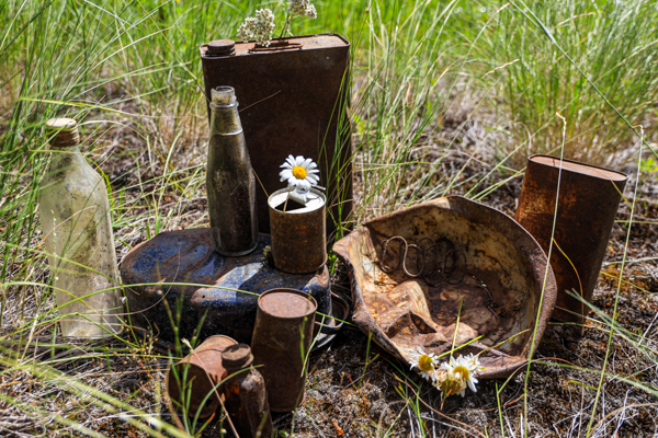 blog-photo-09-22-dump finds on grass-jpg