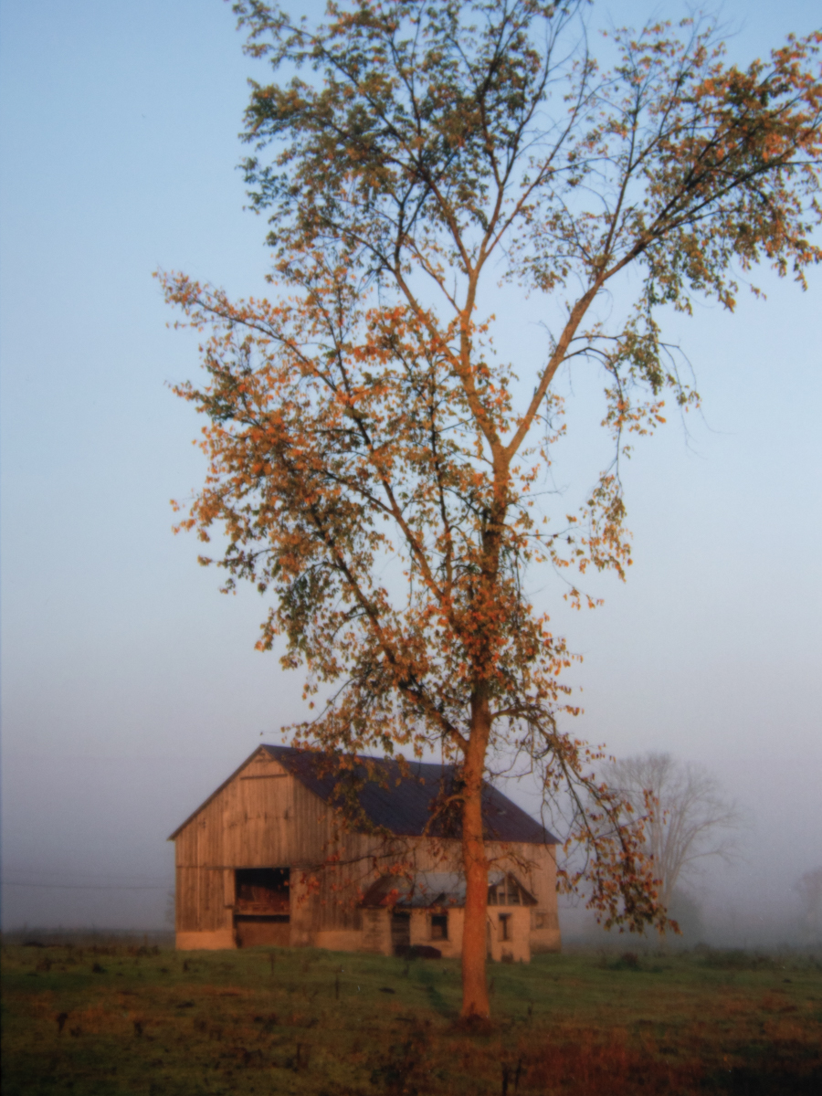 misty morning