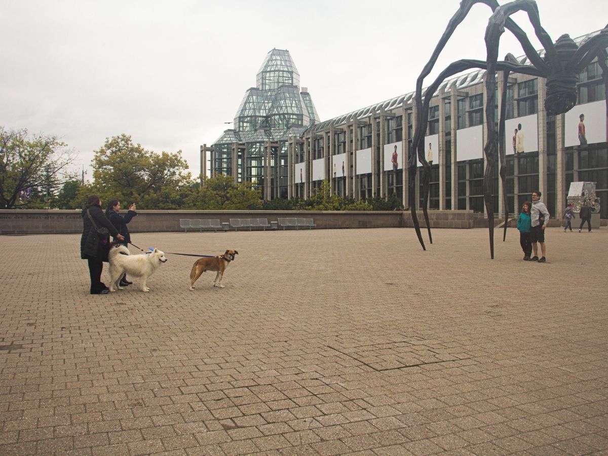 People and dogs stand around Maman Spider sculpture, National Gallery of Canada