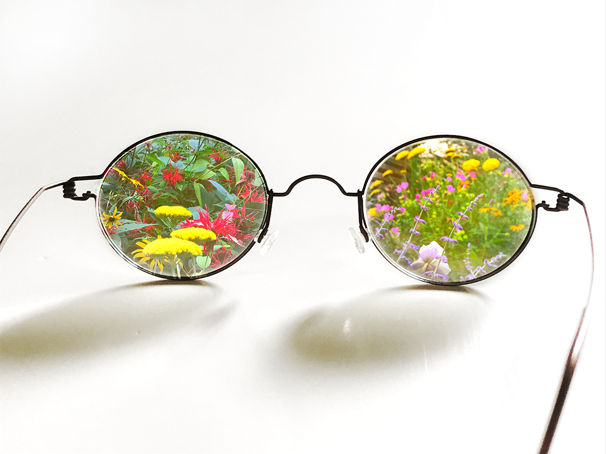 glasses with flowers