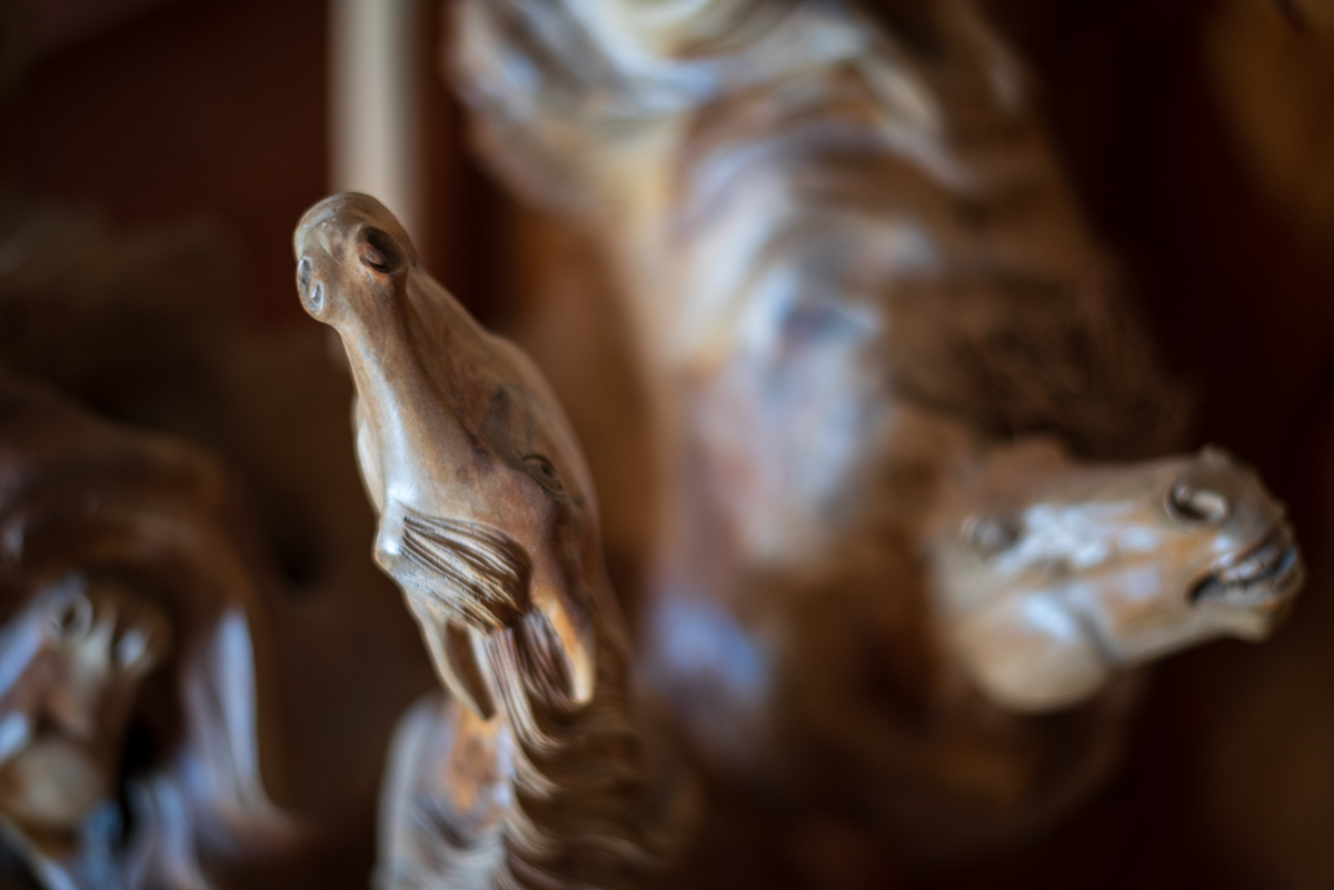 Horses
