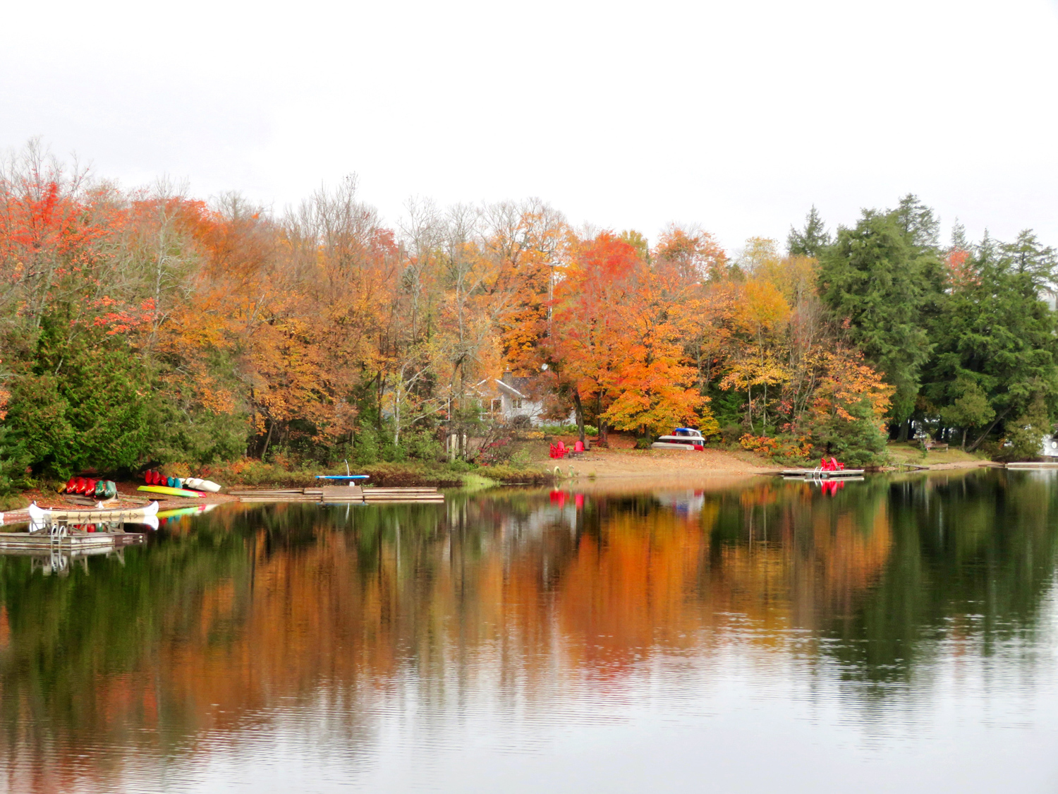 landscape-DianaRajala-11-21-img0.jpg