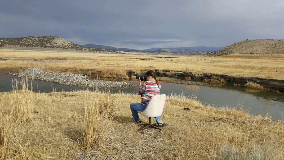 photo-CONNIE-11-25-No.8.jpg-chair