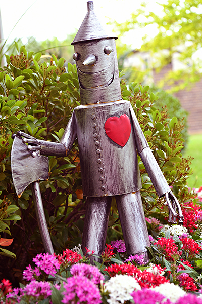 Tin Man in the garden