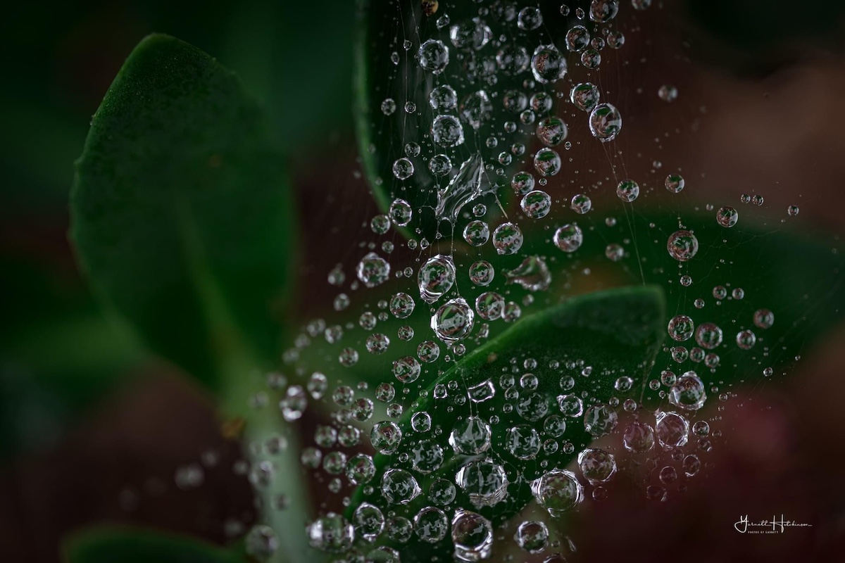 droplets