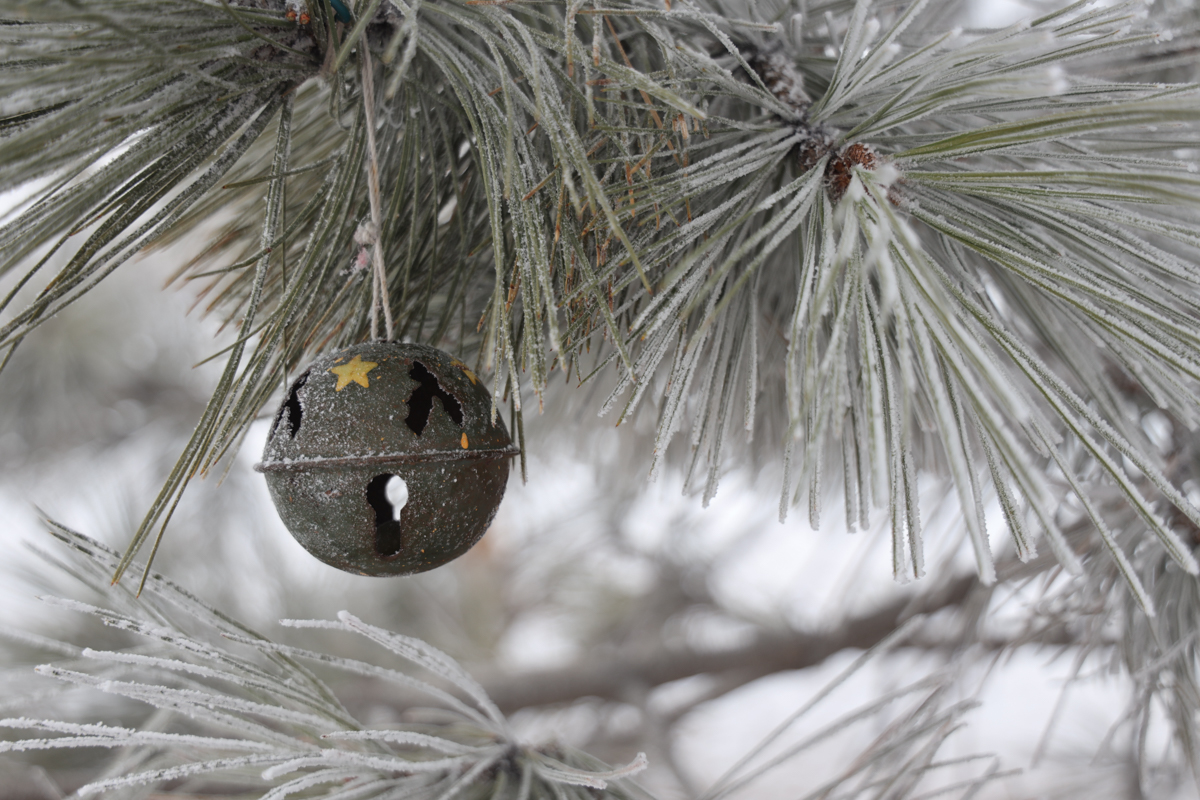 25-24-December-LB.jpg-bell in snow