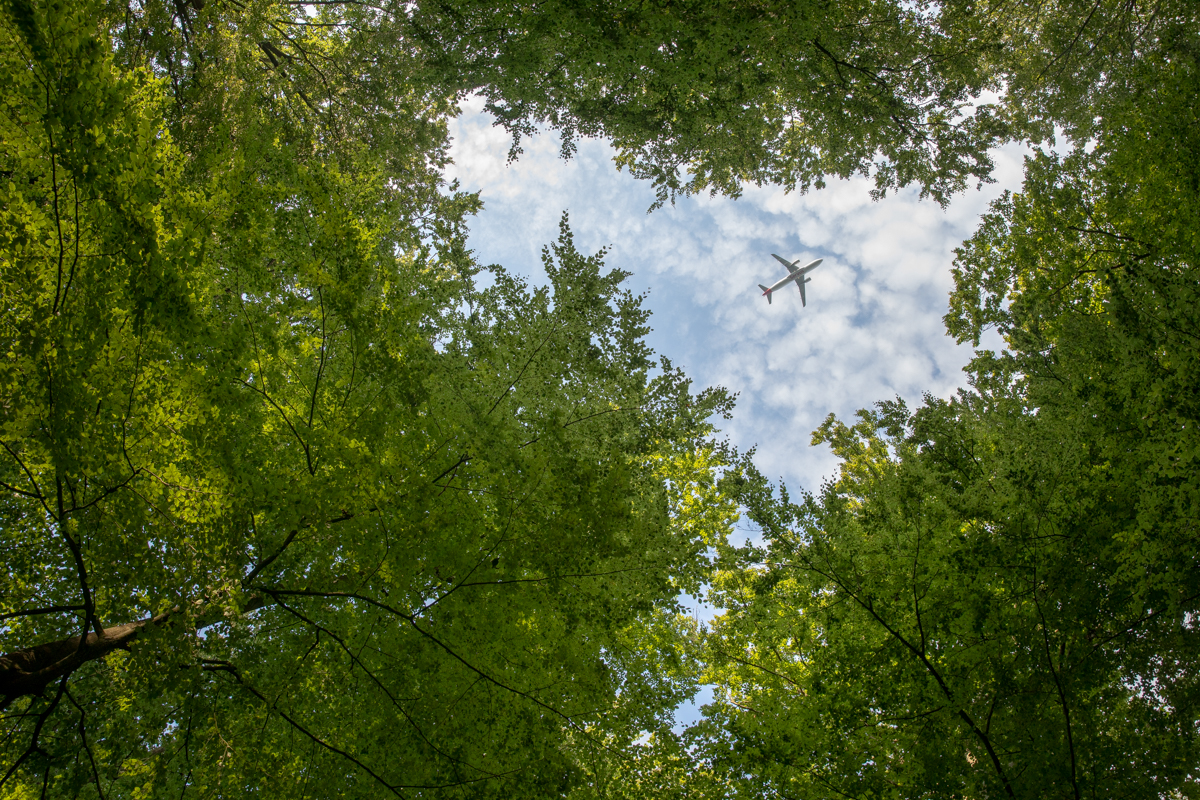 Looking Up
