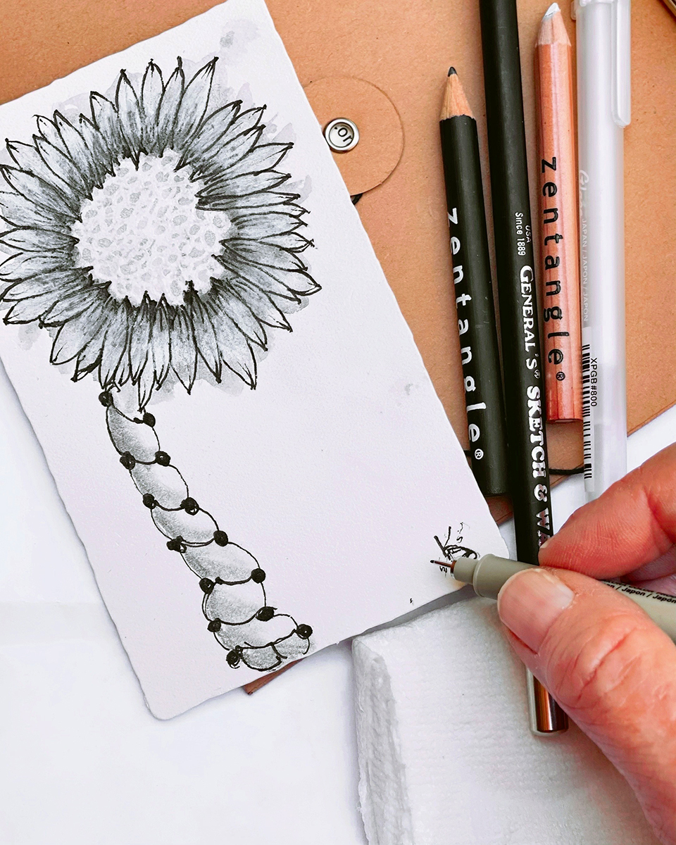 Gray Soft Color Splash