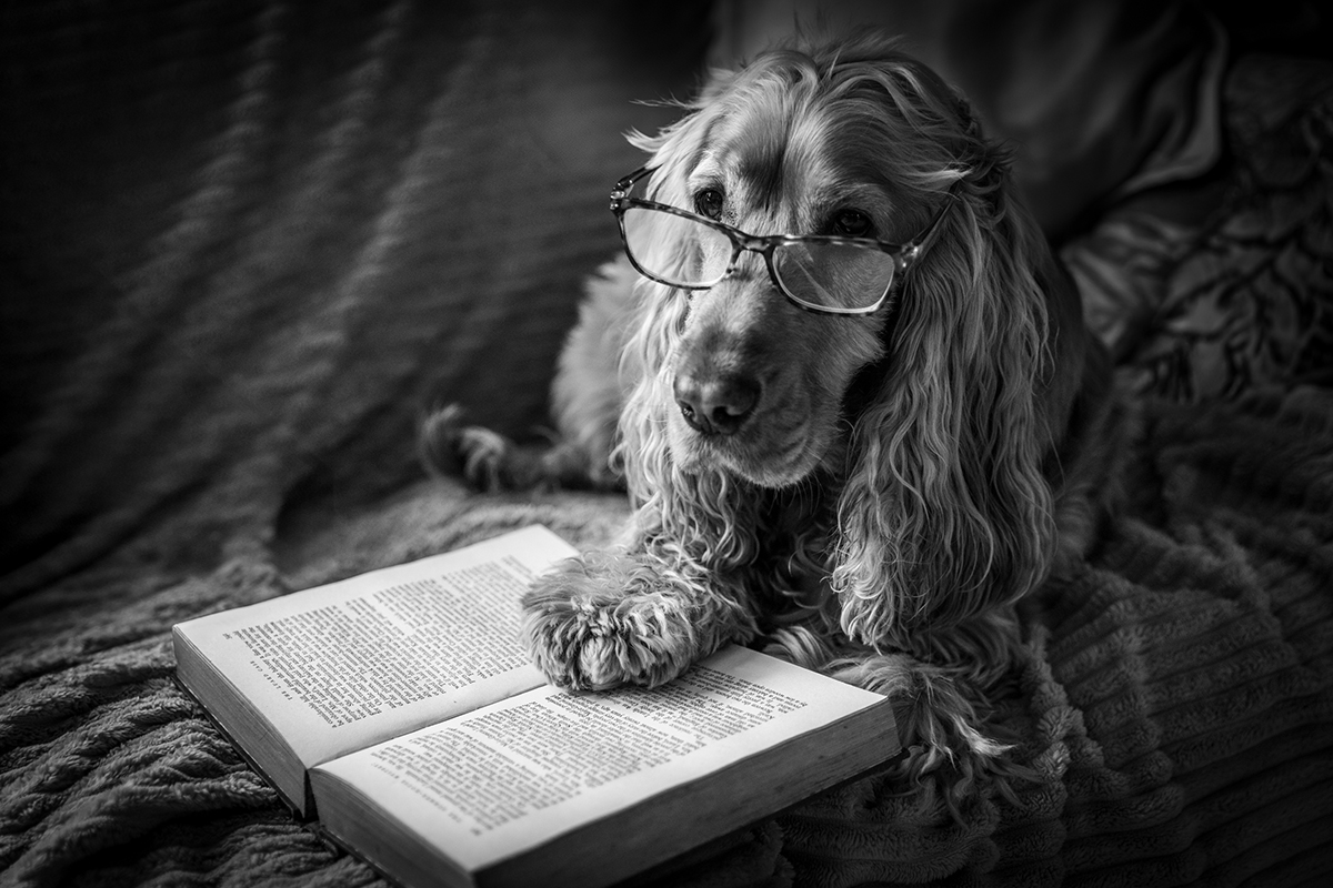 Photography Is Feeling