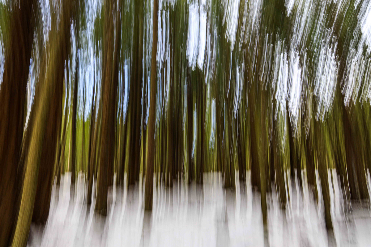 26-04-13-LB.jpg-intentional camera motion