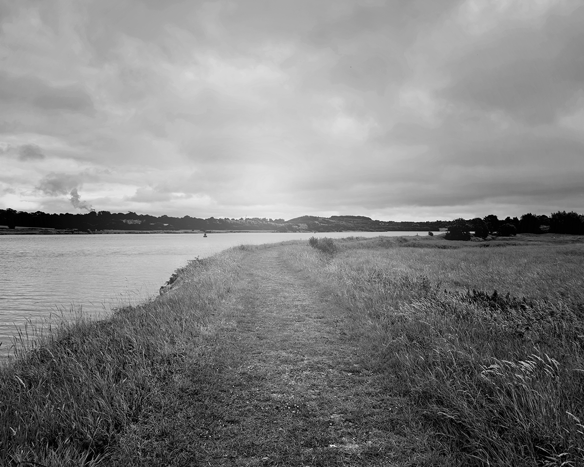 Evening Stroll-BW