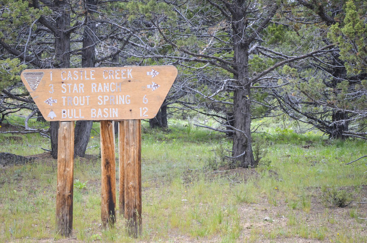 Trail Ahead