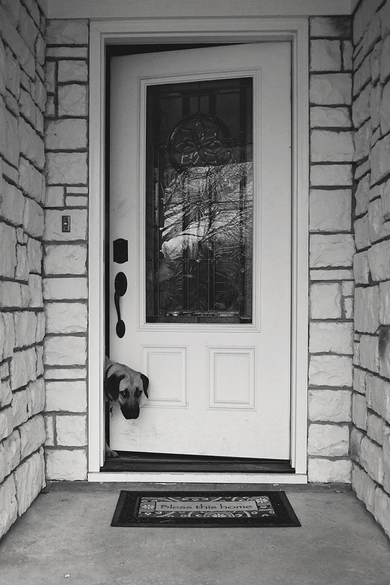 In the doorway
