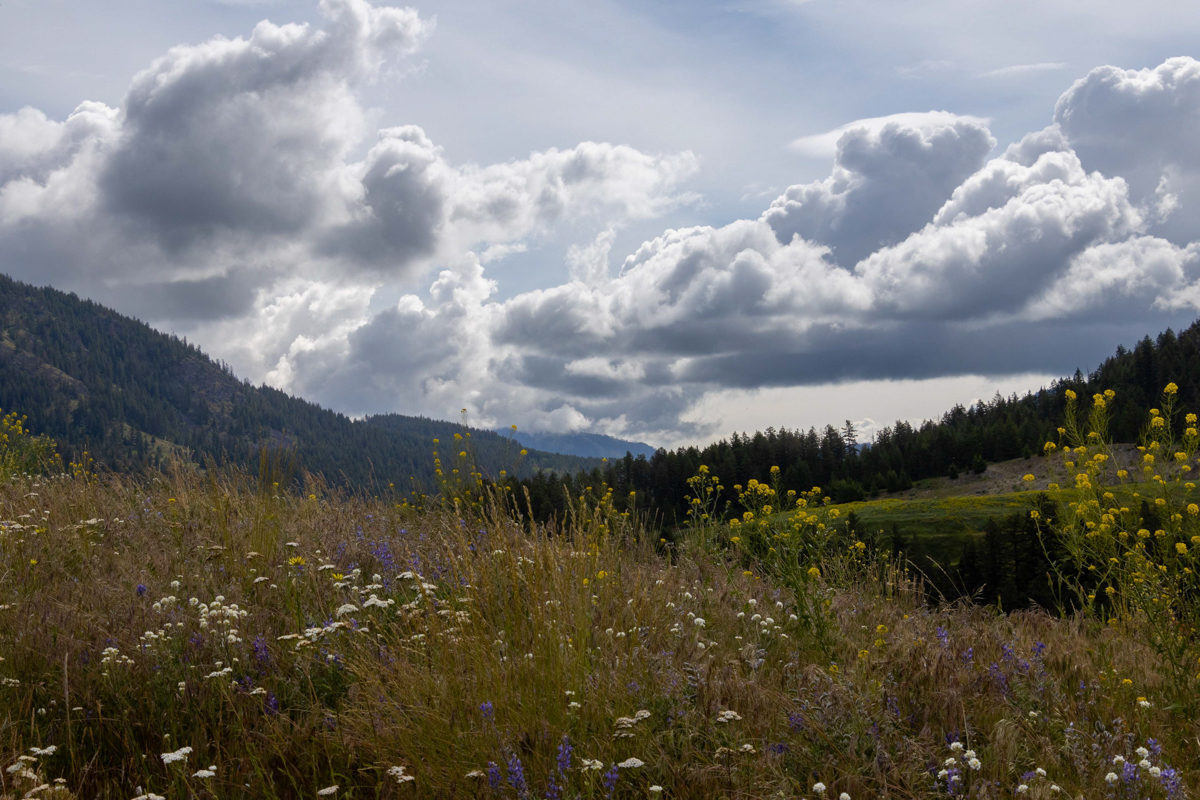 26-26-June-LB.jpg-clouds