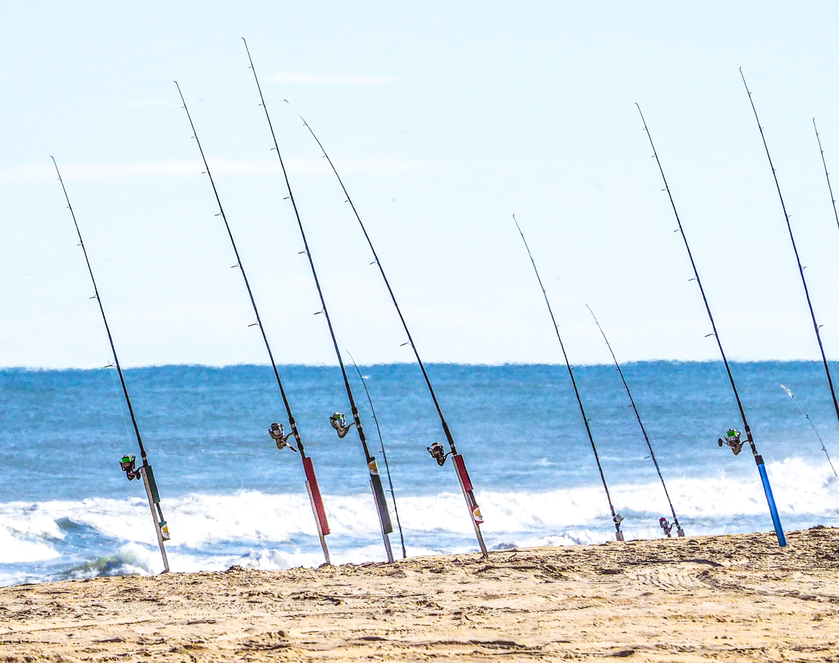 Feels like summer - fishing poles 