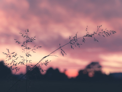 Lee Glasby - Sunset Photo