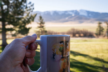 Coffee