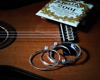 Extra Guitar Strings