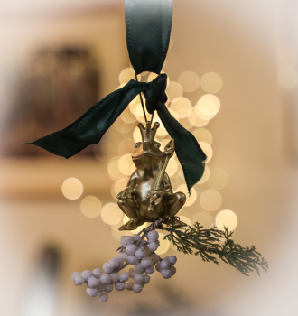 25-06-December-LB.jpg-mistletoad