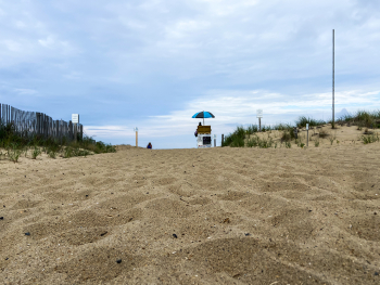 Sand