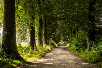 Road