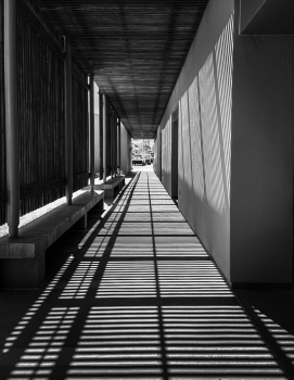 Shadow