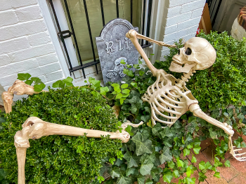 Boo