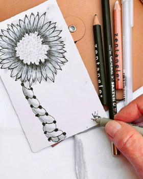 Gray Soft Color Splash