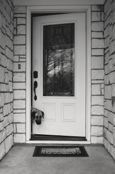 In the doorway