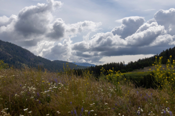 26-26-June-LB.jpg-clouds